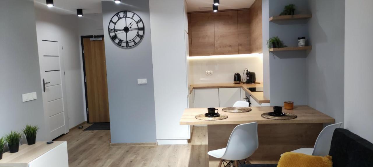 Apartament Przy Fabrycznym ウッチ エクステリア 写真